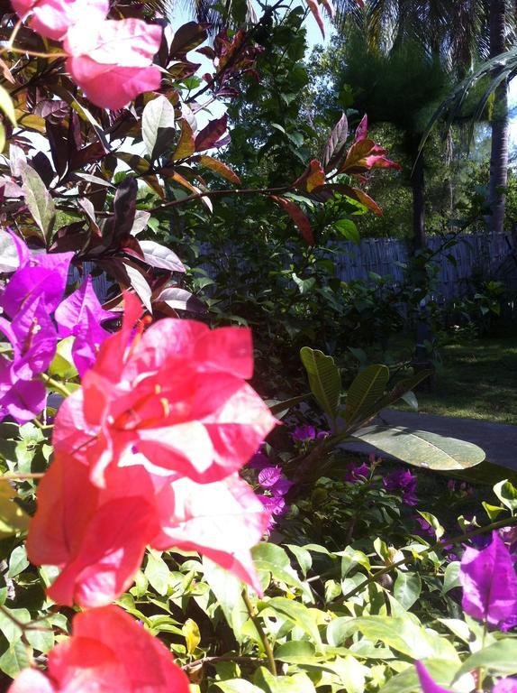 Gili Garden Bungalow Gili Meno Exteriör bild