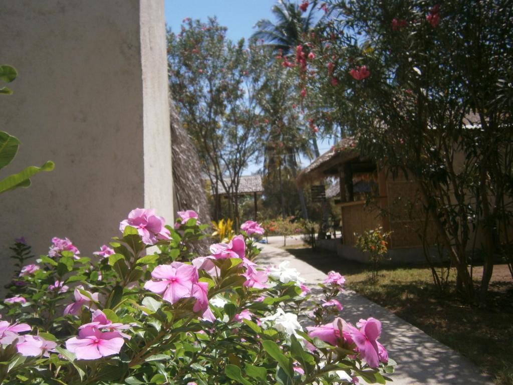 Gili Garden Bungalow Gili Meno Exteriör bild